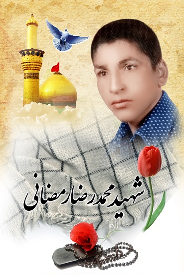 محمدرضا