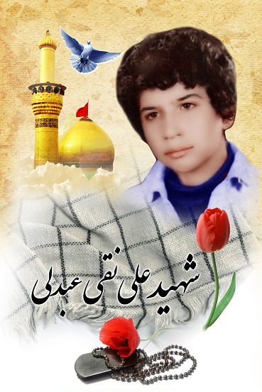 علینقی